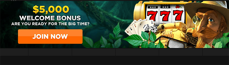 Wild Casino Bonus