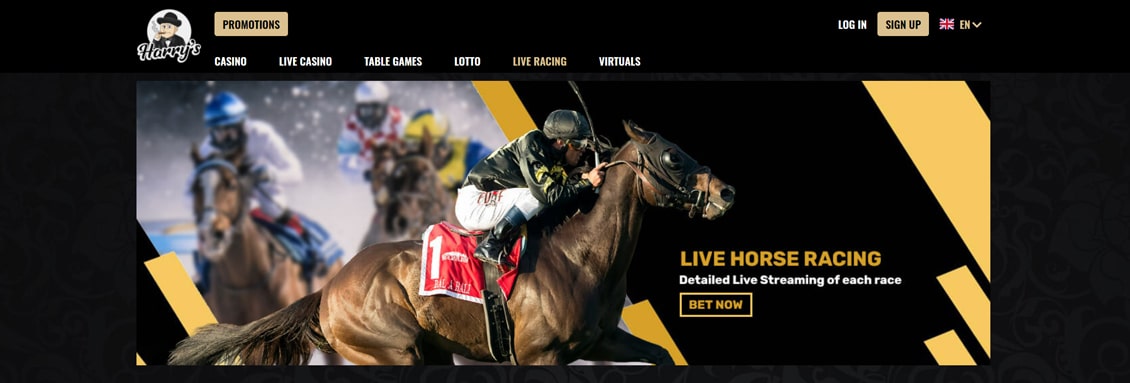 Harry’s Sportsbook - The best betting sites for horse racing Ireland