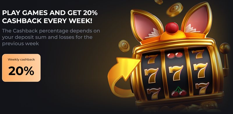 corgi bet-cashback