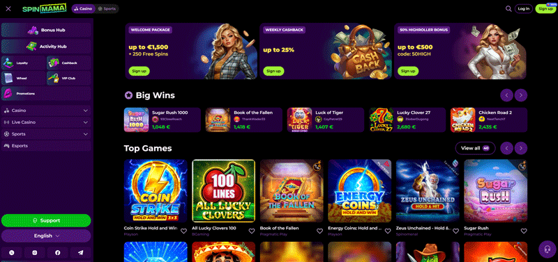 spinmama-homepage